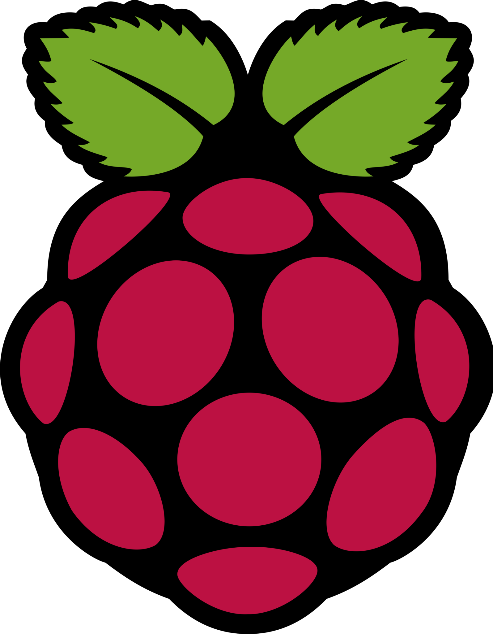 Raspberry Pi Baixarlogo